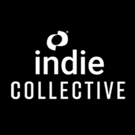 IGDA 成立 Indie Collective 小组，为小型工作室提供帮助